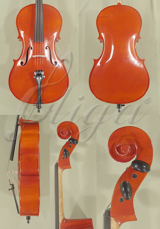 School 1 2 Genial 2 Nitro Varnish Cello Code B3649