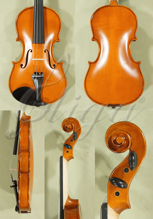 1/2 Genial 1 Beginning Student Violin - Code D0138V