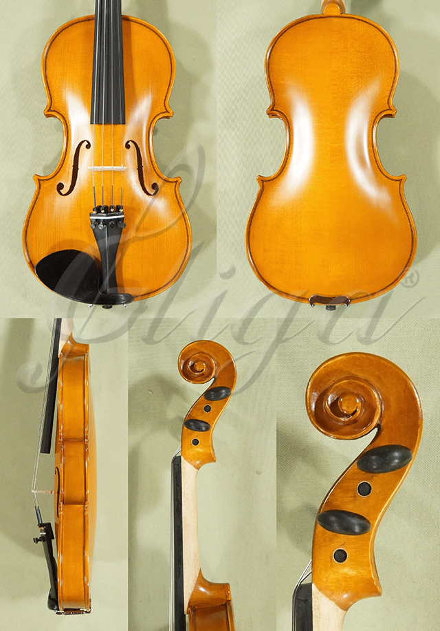 1/2 Genial 1 Beginning Student Violin - Code D0139V